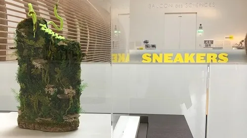 L'expo « Sneakers, lorsque les baskets entrent au musée » 