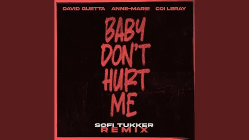 Au tour de Sofi Tukker de remixer le Baby Don't Hurt Me de David...