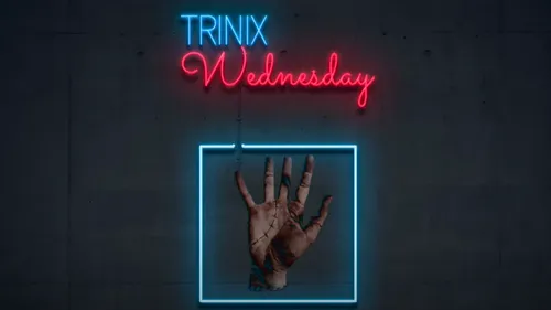Autour des Trinix de se plonger dans l'univers de la série Netflix...