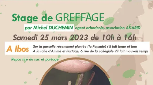 IBOS : STAGE DE GREFFAGE 