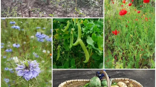 LAROIN :  BIENVENUE DANS MON JARDIN AU NATUREL