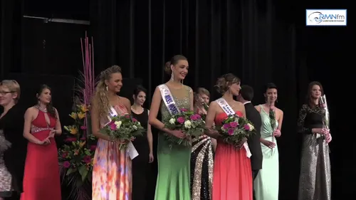 Miss Morbihan 2015 (Résultats)