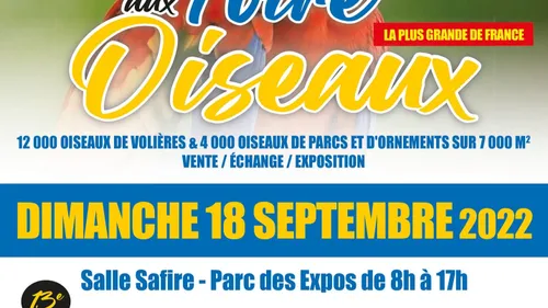 La foire aux oiseaux de Pontivy célèbre ses 40 ans !