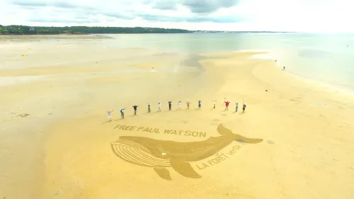 La Forêt-Fouesnant (29) : Une baleine dessinée dans le sable en...