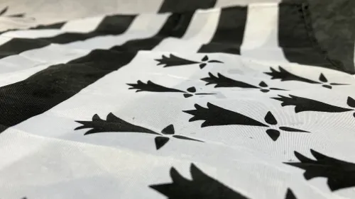 Gwenn ha du : le drapeau Breton fête ses 100 ans