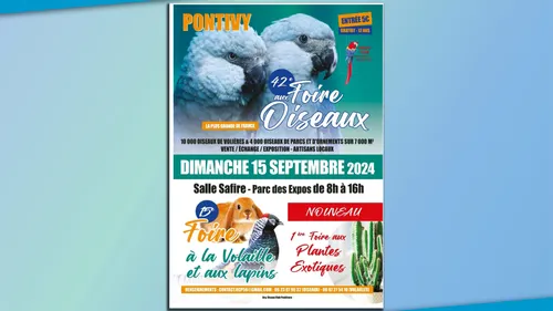 Le 15 septembre, la foire aux oiseaux revient à Pontivy pour une...