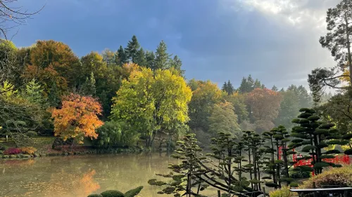 Maine-et-Loire : le plus grand jardin japonais d’Europe a rouvert...