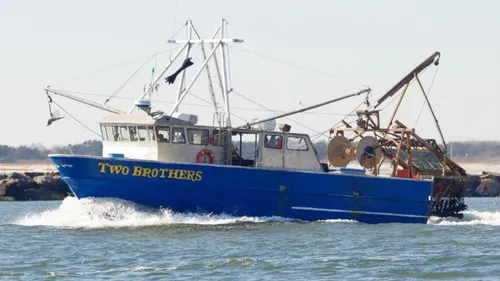 Nouvelle interdiction de pêche à venir dans le golfe de Gascogne