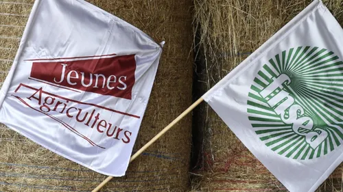 Maine-et-Loire : le point sur la mobilisation des agriculteurs