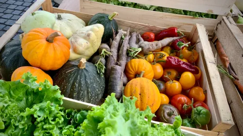 Limoges : distribution de légumes les 6 et 7 décembre