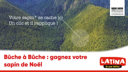 Bûche à Bûche : gagnez votre sapin de Noël