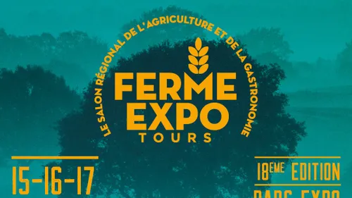 Nos idées sorties pour ce week-end du 15 au 17 novembre