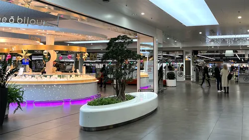 Un Nouvel An fabuleux à la Galerie Saint-Médard 