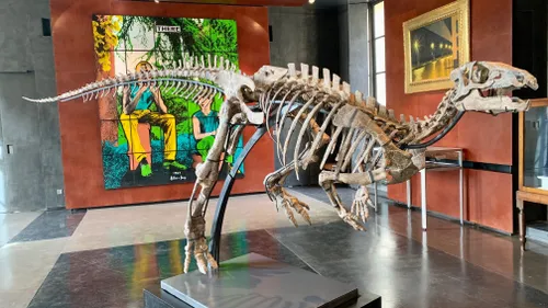 Zéphyr, un squelette d'iguanodon mis aux enchères chez Drouot