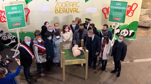 Les jumelles pandas du ZooParc de Beauval se prénomment Huanlili et...