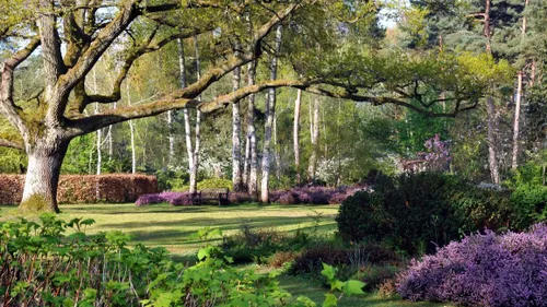 Cet été, visitez l’arboretum des Grandes Bruyères dans le Loiret