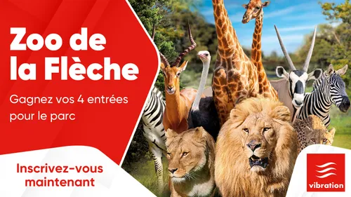 Zoo de la Flèche : gagnez vos 4 entrées pour le parc