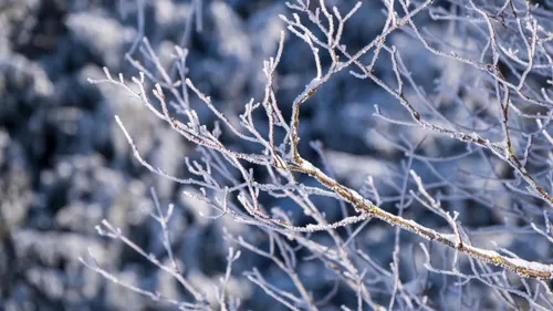 Météo : une fin d’année glaciale ? 