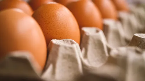 Minute conso : consommer des oeufs tous les jours est-il bon pour...