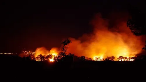 Incendies au Portugal : plus de 1000 pompiers luttent contre le feu...