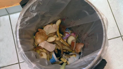 Phenix : une solution contre le gaspillage alimentaire