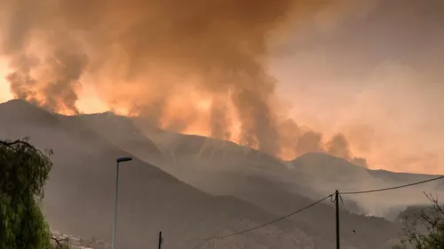 Espagne : un violent feu de forêt "hors de contrôle" sur l'île de...