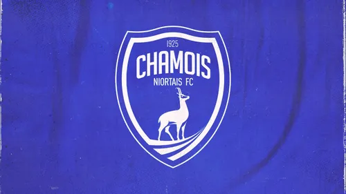 Football : Sébastien Desabre n’est plus l’entraîneur des Chamois...