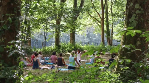  Le programme des Nuits des forêts partout en France 