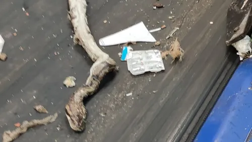 Châteauroux : un cadavre de serpent découvert au centre de tri des...