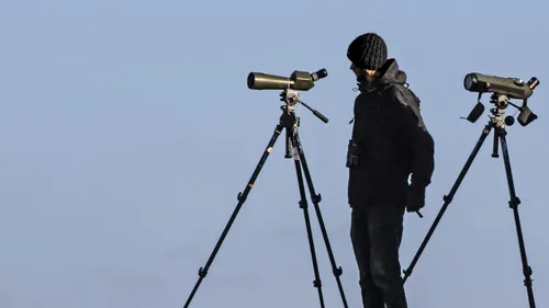 Compter les oiseaux du Cap Ferret, ça vous dit ? 