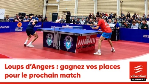Les Loups d’Angers : gagnez vos places pour le prochain match