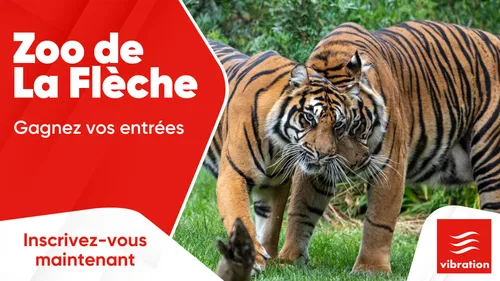 Zoo de La Flèche : gagnez vos entrées