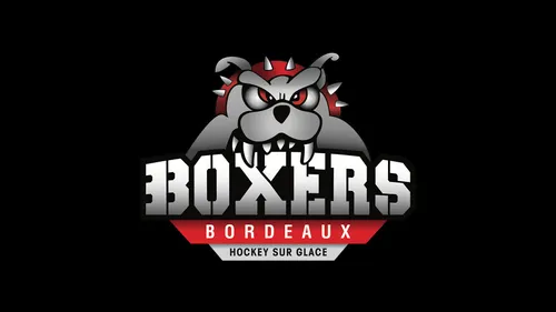 L'actualité des Boxers de Bordeaux