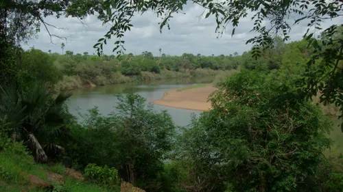 Sénégal : l'Unesco retire le plus grand parc naturel du Sénégal de...