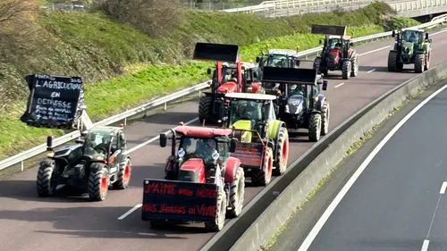 Colère des agriculteurs en France : que réclament-ils vraiment ? 