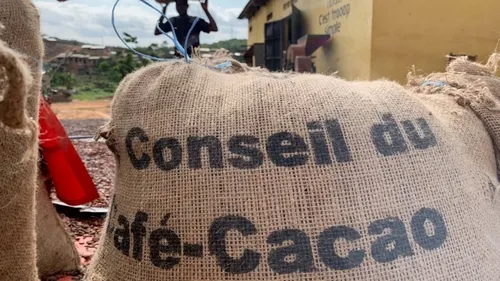 Côte d’ivoire : L’Agrément pour les Exportateurs de Café Cacao pour...