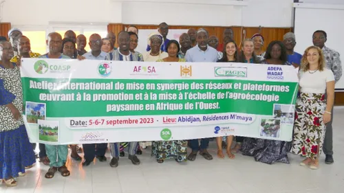 Côte d'ivoire : Des ONG paysannes et de la société civile...
