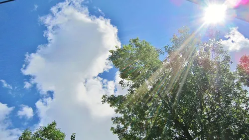 Canicule : la France connaît sa première vague de chaleur de l'année 