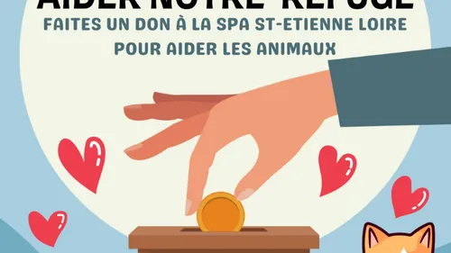 La S.P.A. de Saint-Étienne, en difficulté, lance un appel aux dons