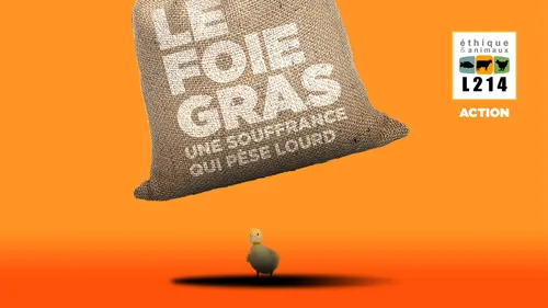 Mobilisation ce samedi à Jean Jaurès pour dénoncer le foie gras à...