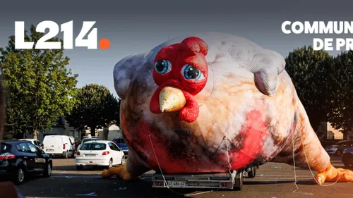 L214 va déployer un poulet géant à Saint-Etienne ce jeudi