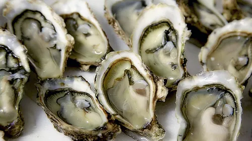 Les huîtres du bassin d'Arcachon interdites à la vente