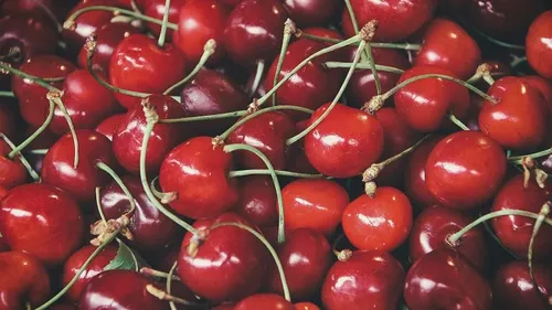 Loire : les agriculteurs victimes...de vols de fruits