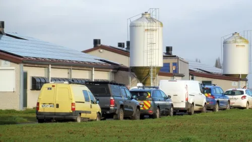 Un homme meurt écrasé par un camion dans une ferme de Steenwerck