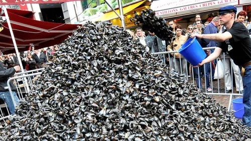 Une braderie de Lille exceptionnelle! 
