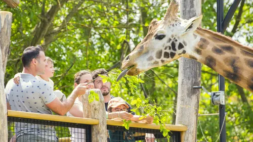 GAGNEZ VOS INVITATIONS POUR LE ZOO D'AMNÉVILLE