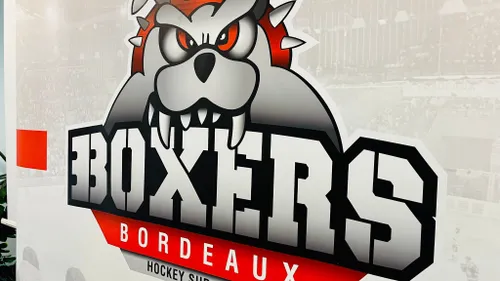 Gagnez vos places pour Boxers de Bordeaux - Ducs d'Angers 