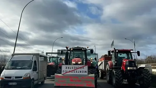 Nouveaux blocages des agriculteurs ce mardi à Toulouse 