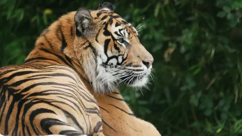 GAGNEZ VOS ENTRÉES AU ZOO DU BASSIN D'ARCACHON !