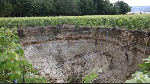 Une parcelle de vignes s’effondre